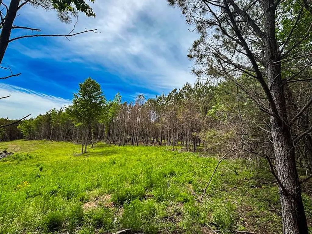 1 County Road 94 Hamilton AL 35570