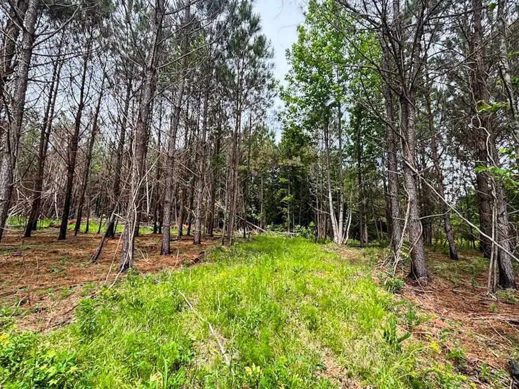1 County Road 94 Hamilton AL 35570