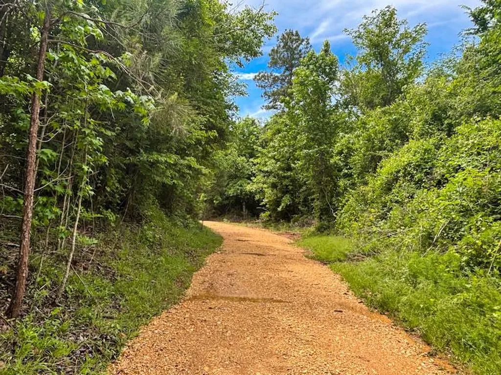 1 County Road 94 Hamilton AL 35570