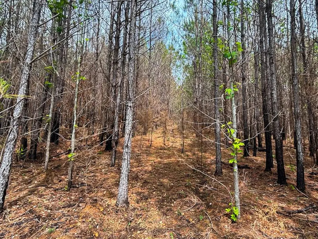 1 County Road 94 Hamilton AL 35570