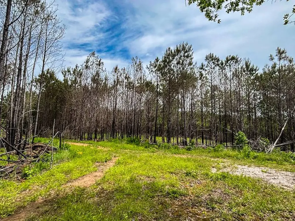1 County Road 94 Hamilton AL 35570