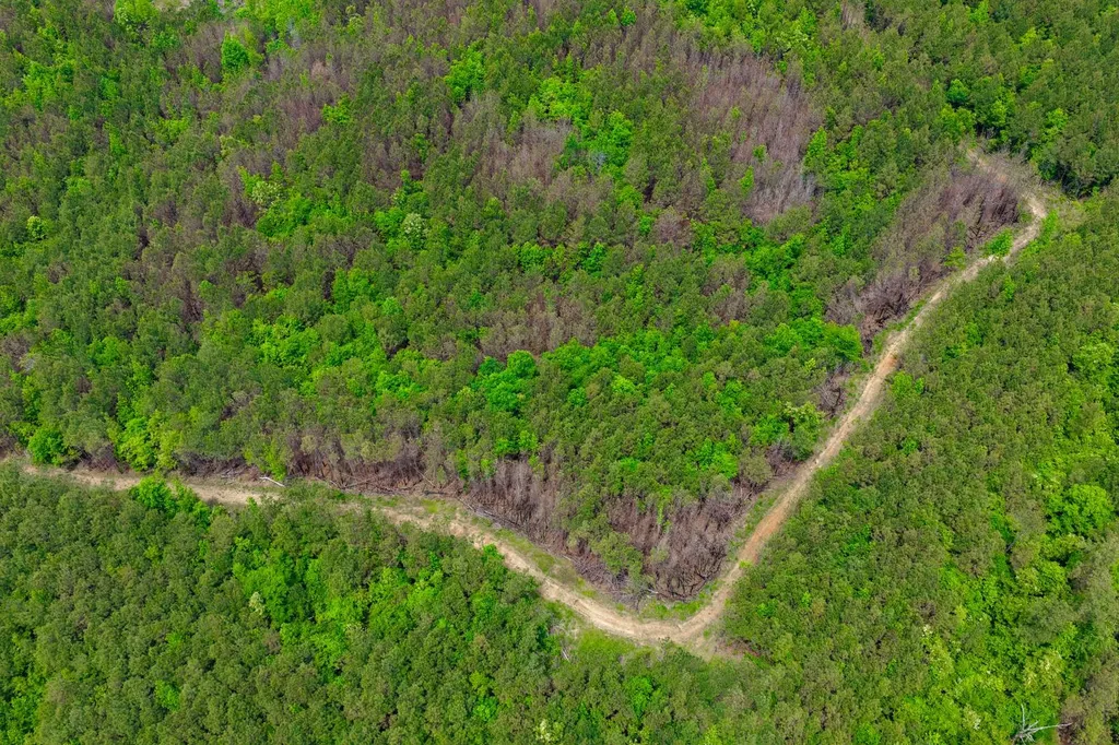 1 County Road 94 Hamilton AL 35570