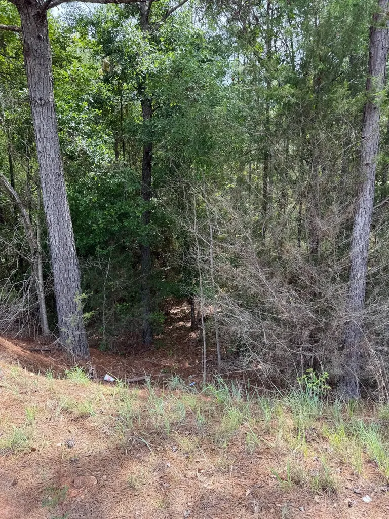 0 Live Live Oak Luverne AL 36049