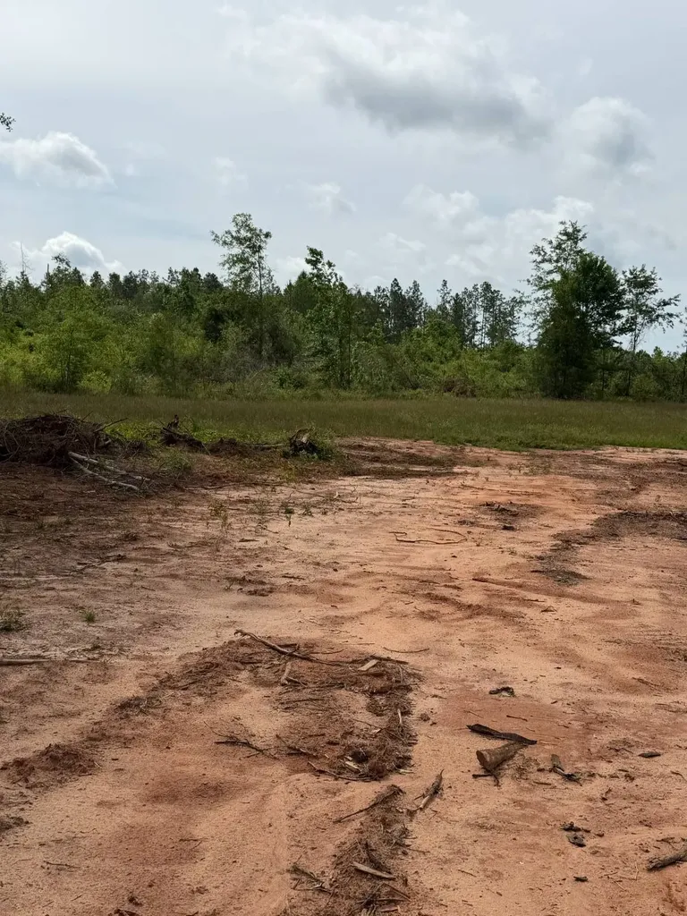 0 Live Live Oak Luverne AL 36049