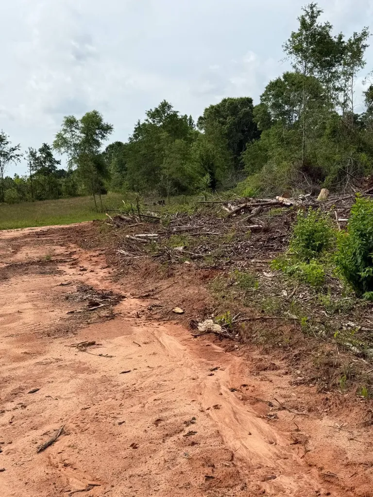 0 Live Live Oak Luverne AL 36049