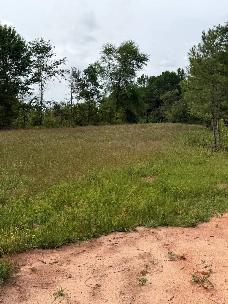 0 Live Live Oak Luverne AL 36049