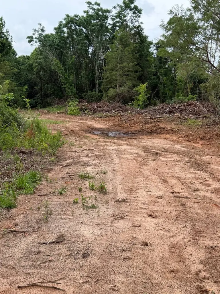 0 Live Live Oak Luverne AL 36049