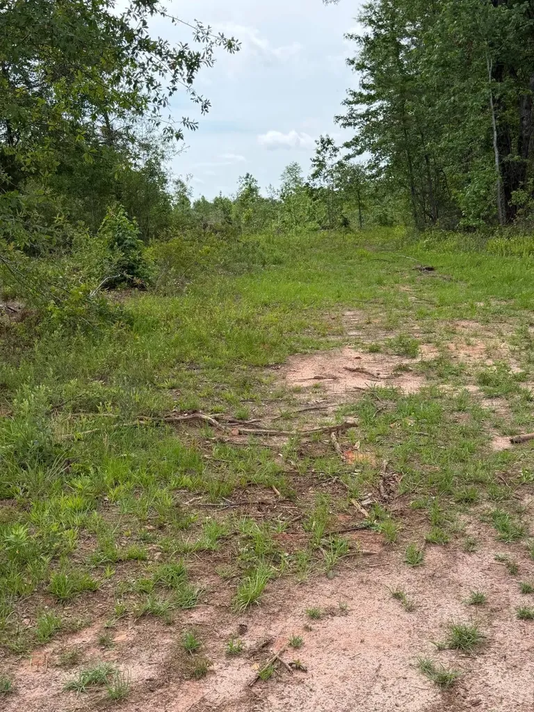 0 Live Live Oak Luverne AL 36049