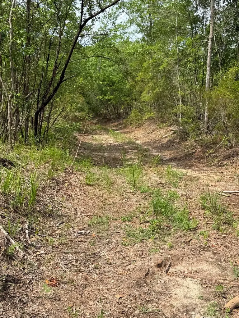 0 Live Live Oak Luverne AL 36049