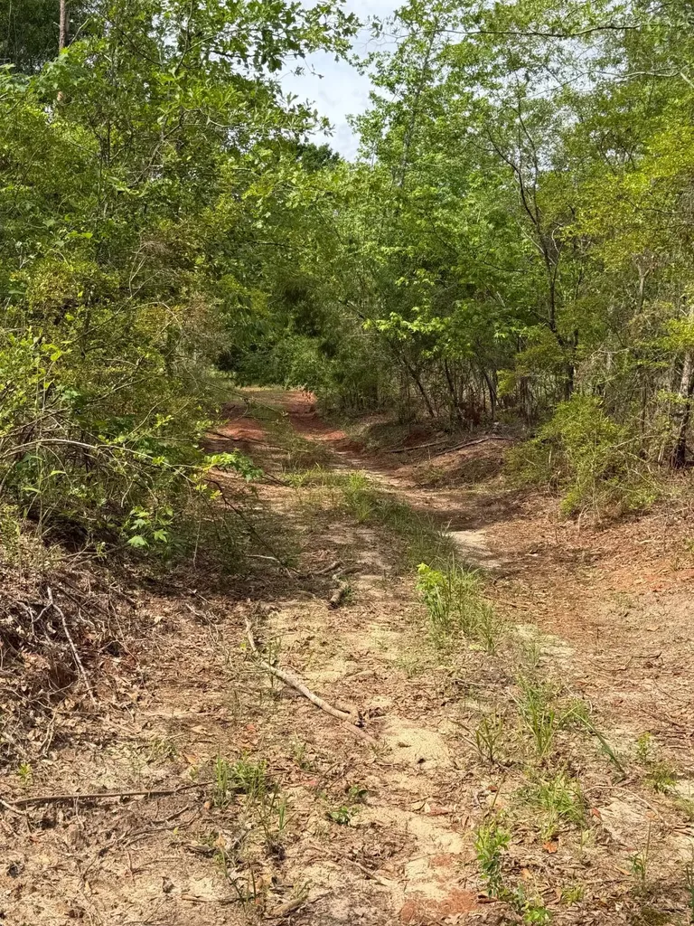 0 Live Live Oak Luverne AL 36049