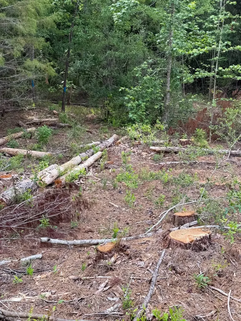 0 Live Live Oak Luverne AL 36049