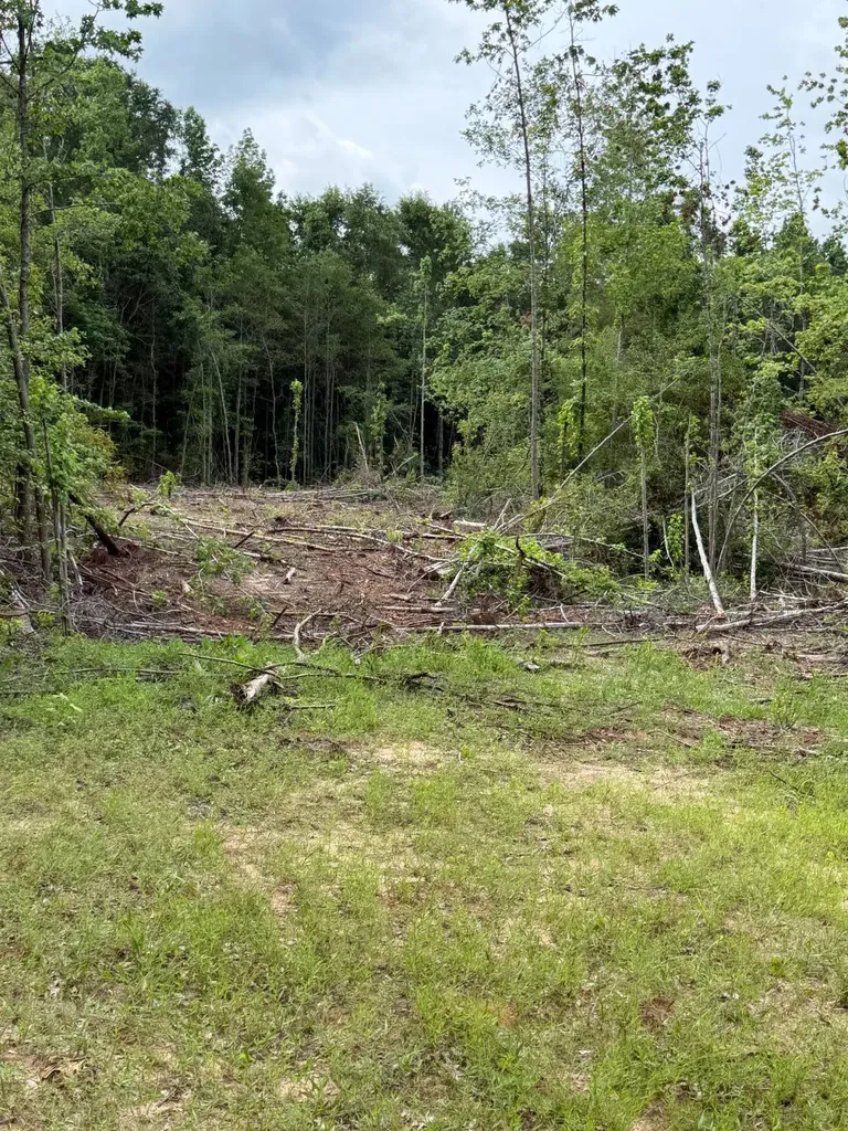 0 Live Live Oak Luverne AL 36049