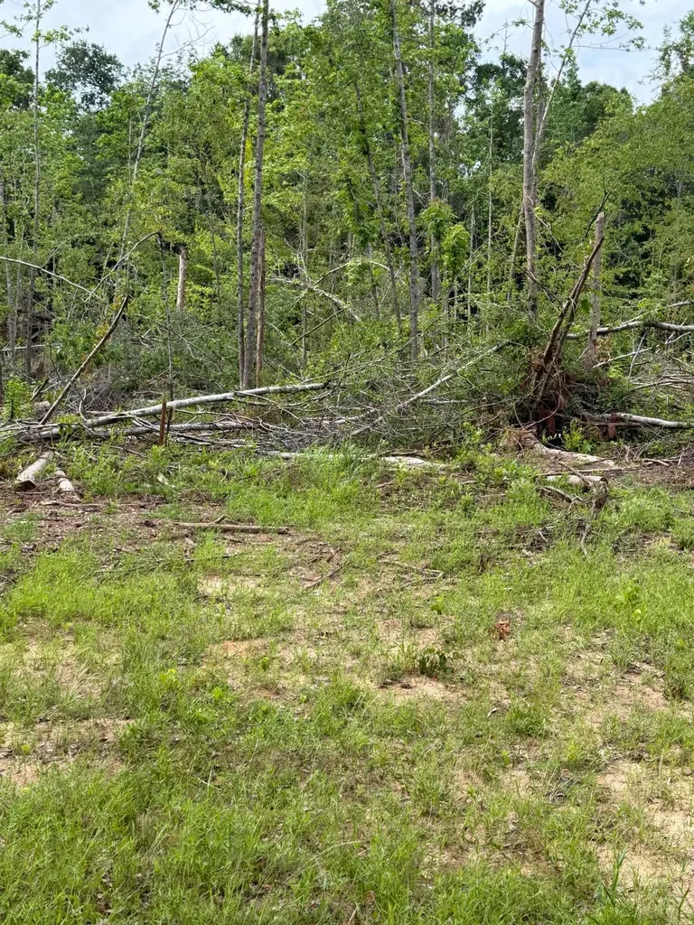 0 Live Live Oak Luverne AL 36049