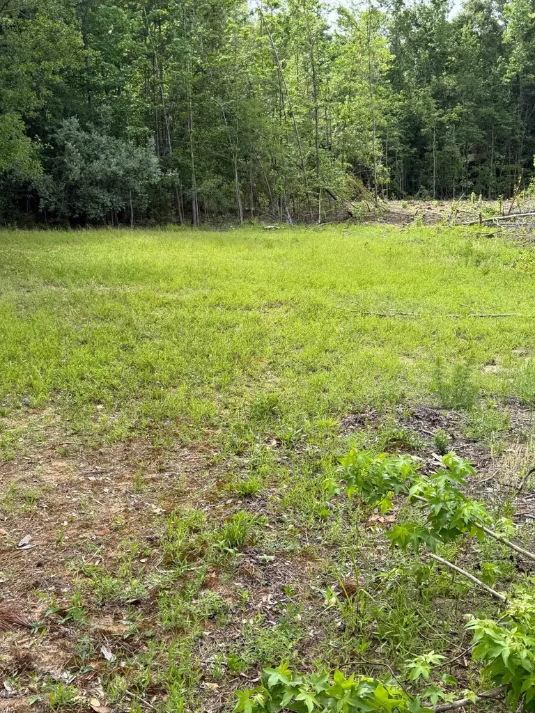 0 Live Live Oak Luverne AL 36049