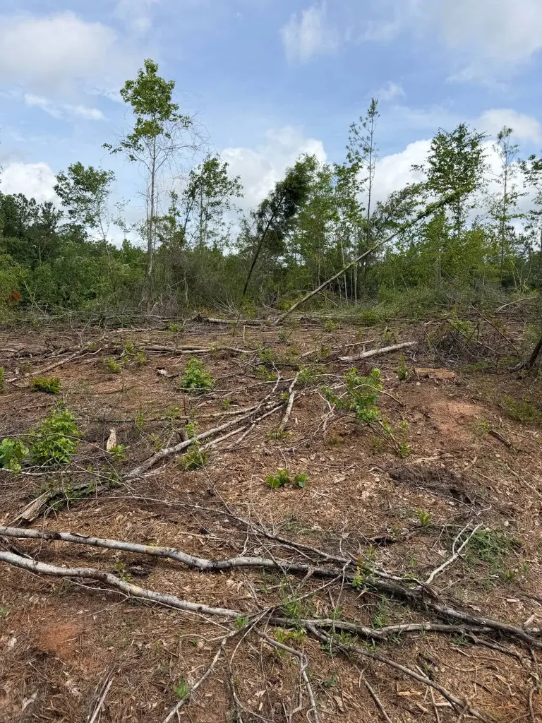 0 Live Live Oak Luverne AL 36049