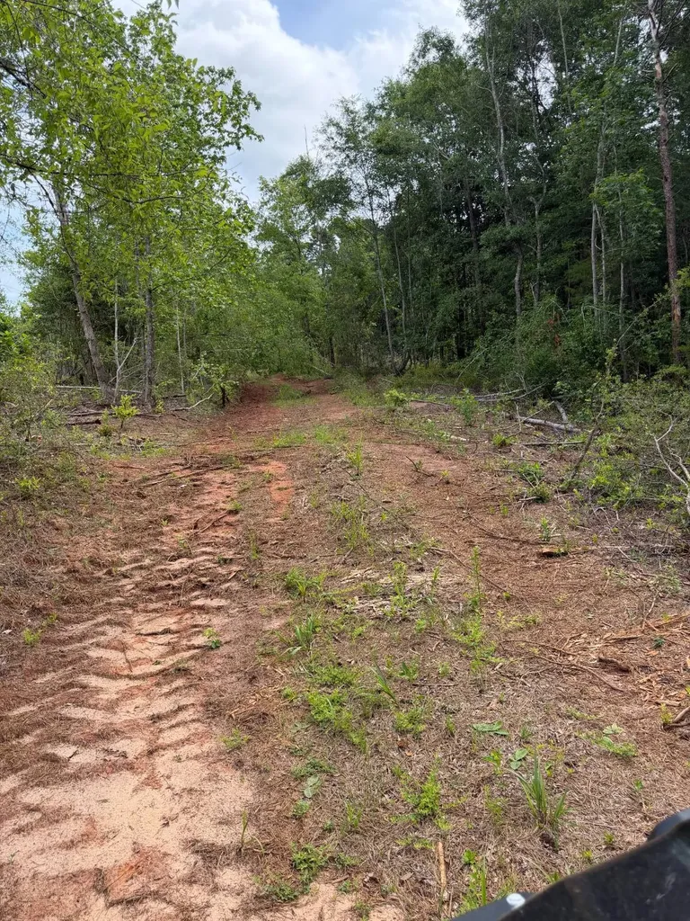 0 Live Live Oak Luverne AL 36049