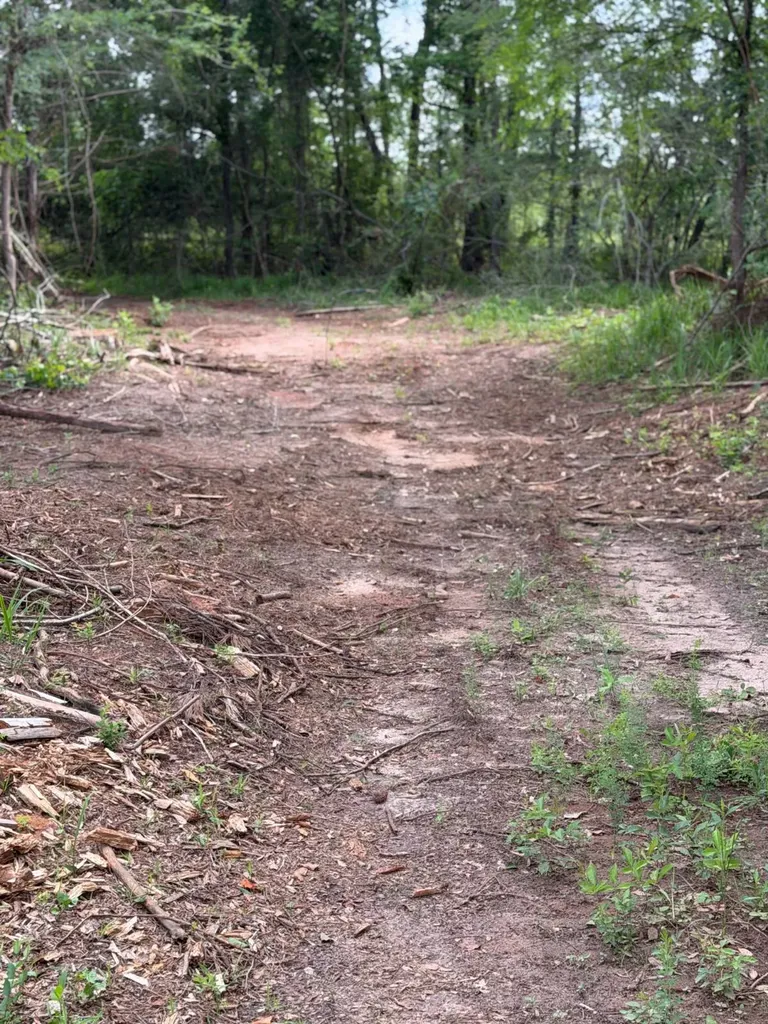 0 Live Live Oak Luverne AL 36049