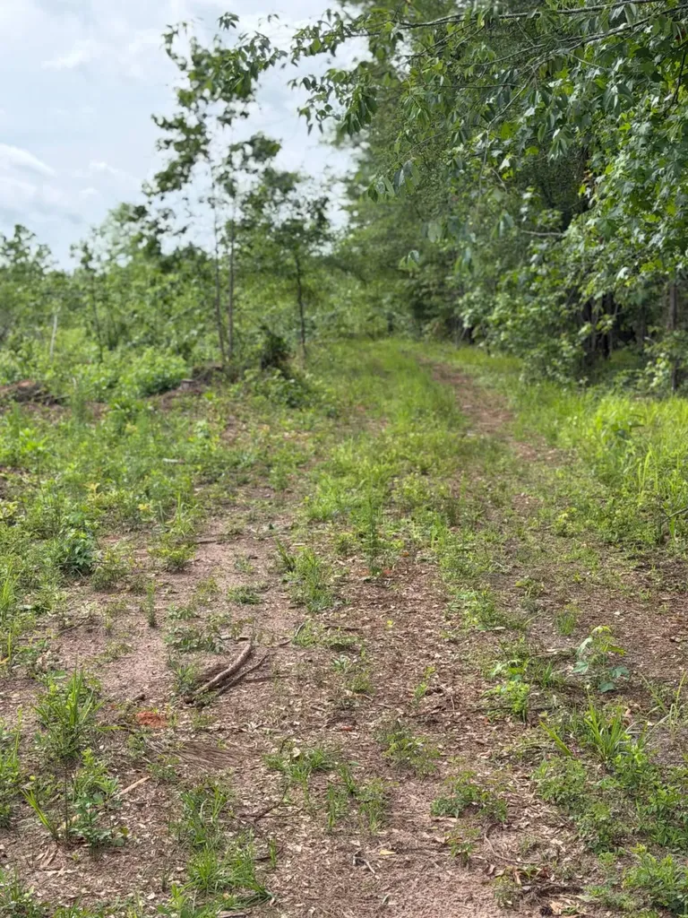 0 Live Live Oak Luverne AL 36049