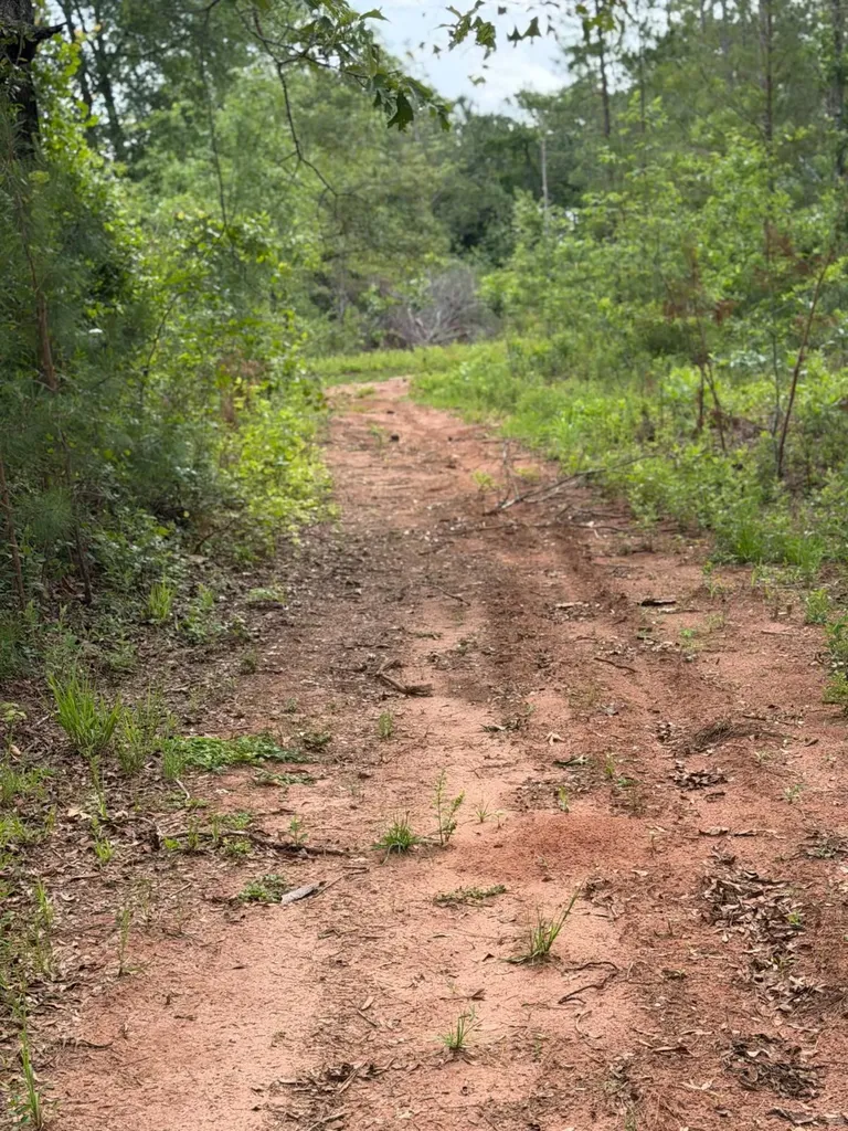 0 Live Live Oak Luverne AL 36049