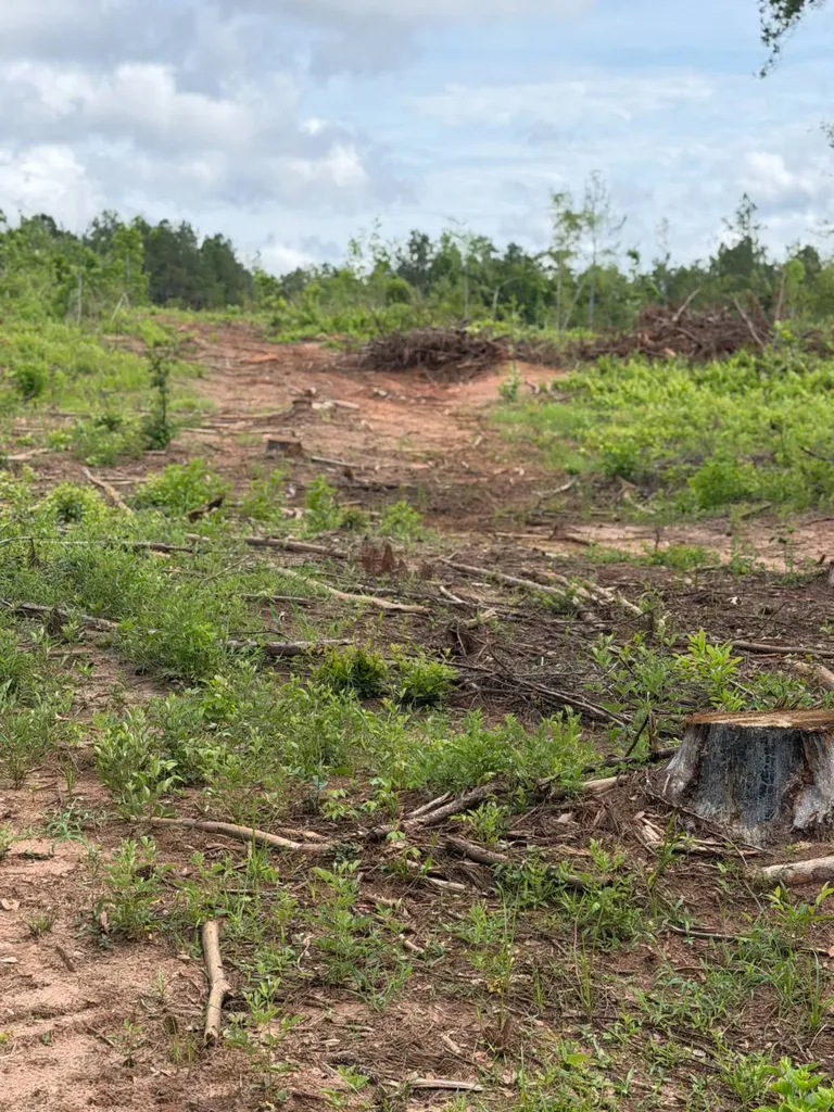 0 Live Live Oak Luverne AL 36049