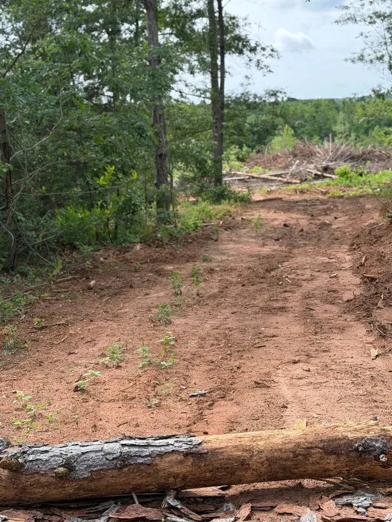 0 Live Live Oak Luverne AL 36049