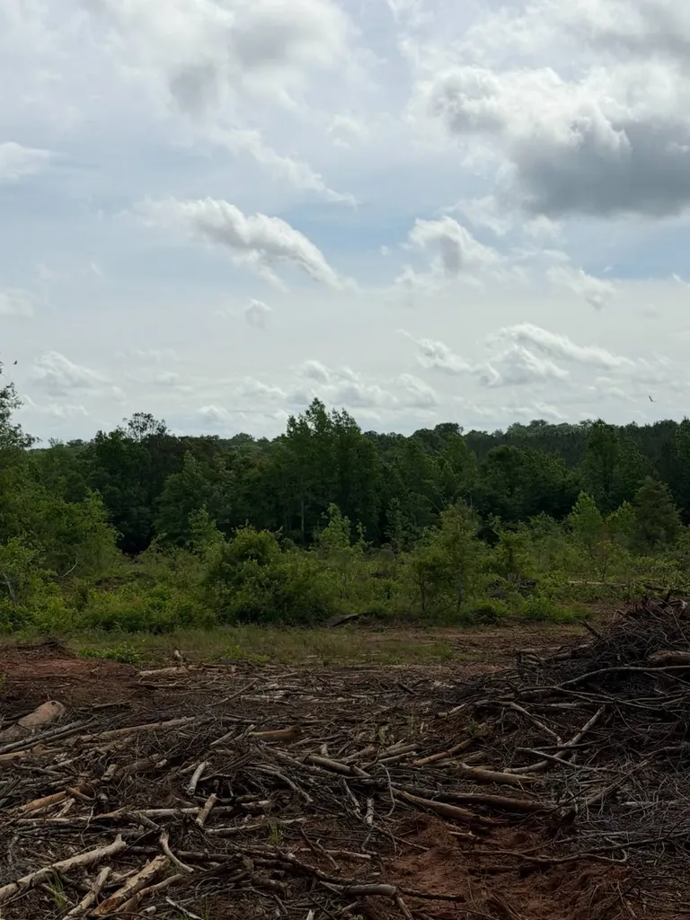 0 Live Live Oak Luverne AL 36049