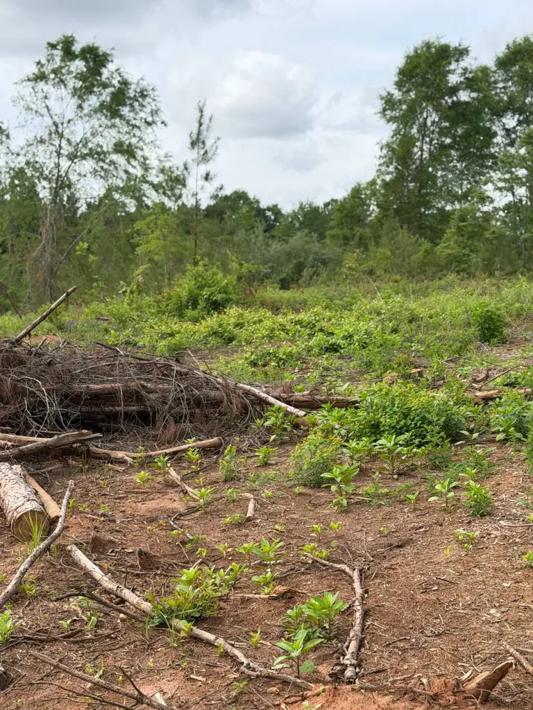 0 Live Live Oak Luverne AL 36049