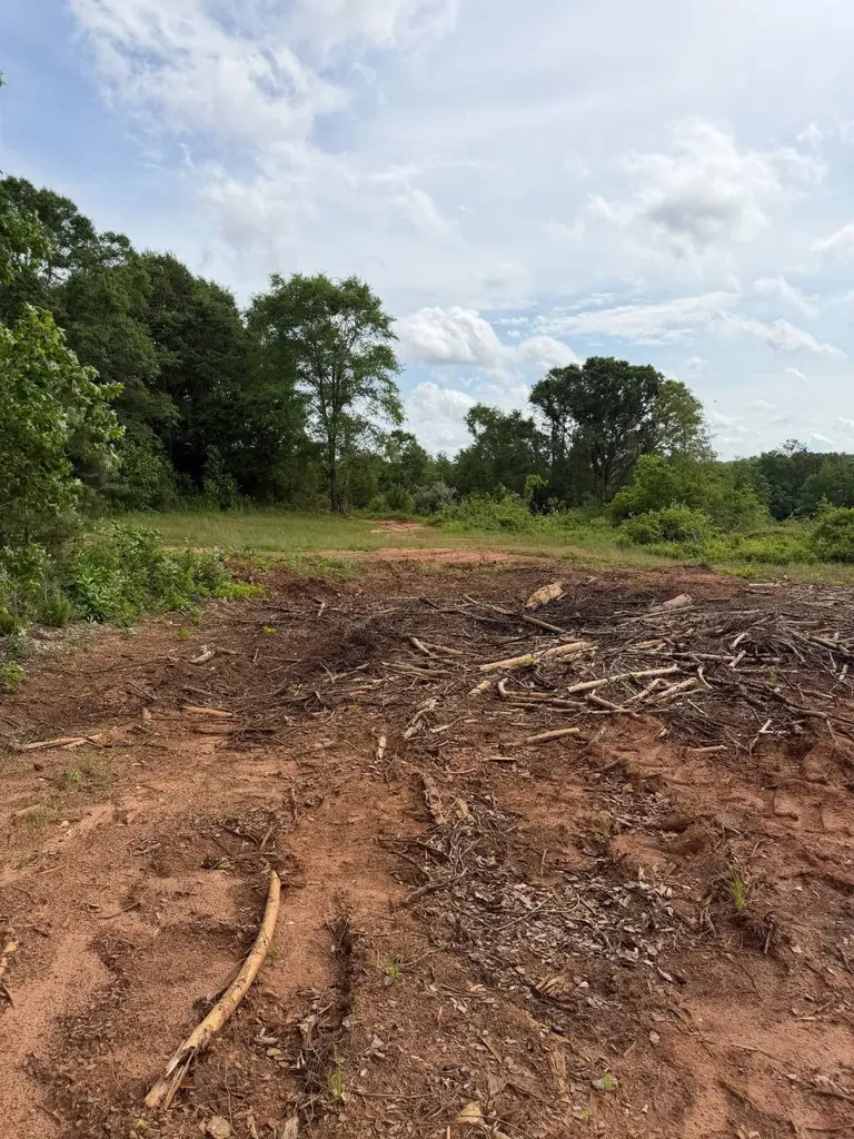 0 Live Live Oak Luverne AL 36049