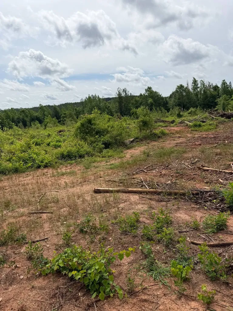 0 Live Live Oak Luverne AL 36049