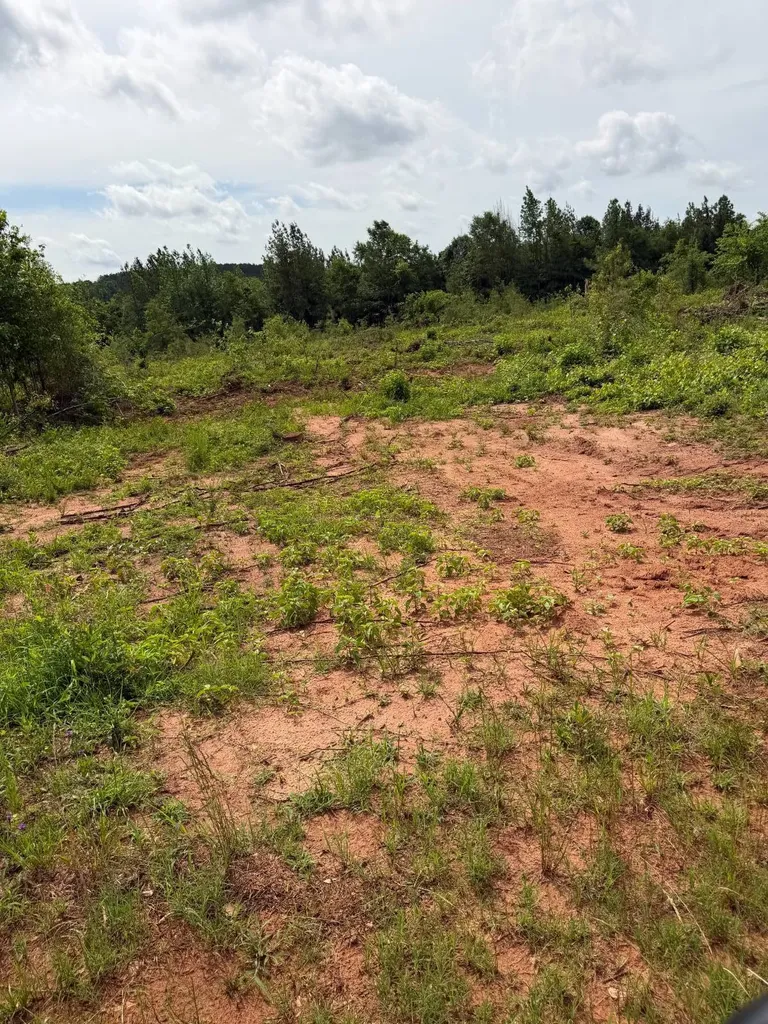 0 Live Live Oak Luverne AL 36049