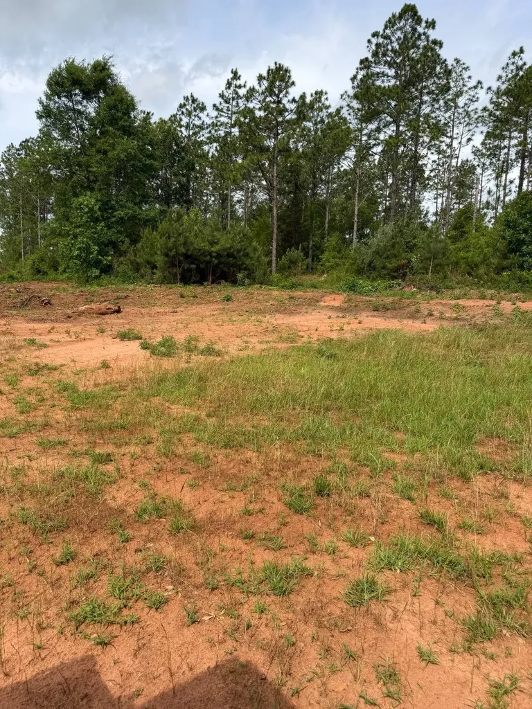 0 Live Live Oak Luverne AL 36049