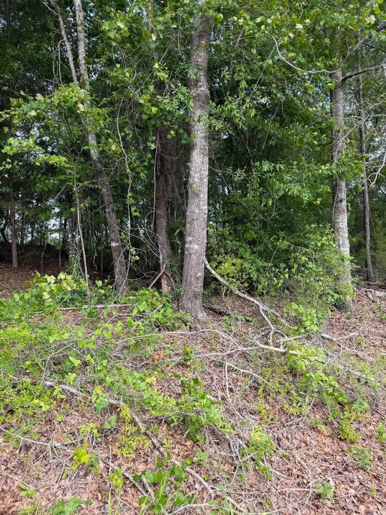 0 Live Live Oak Luverne AL 36049