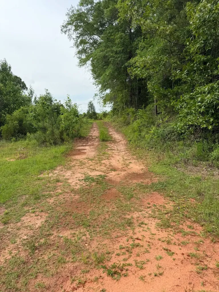 0 Live Live Oak Luverne AL 36049