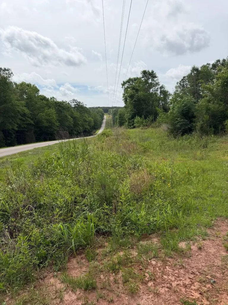 0 Live Live Oak Luverne AL 36049