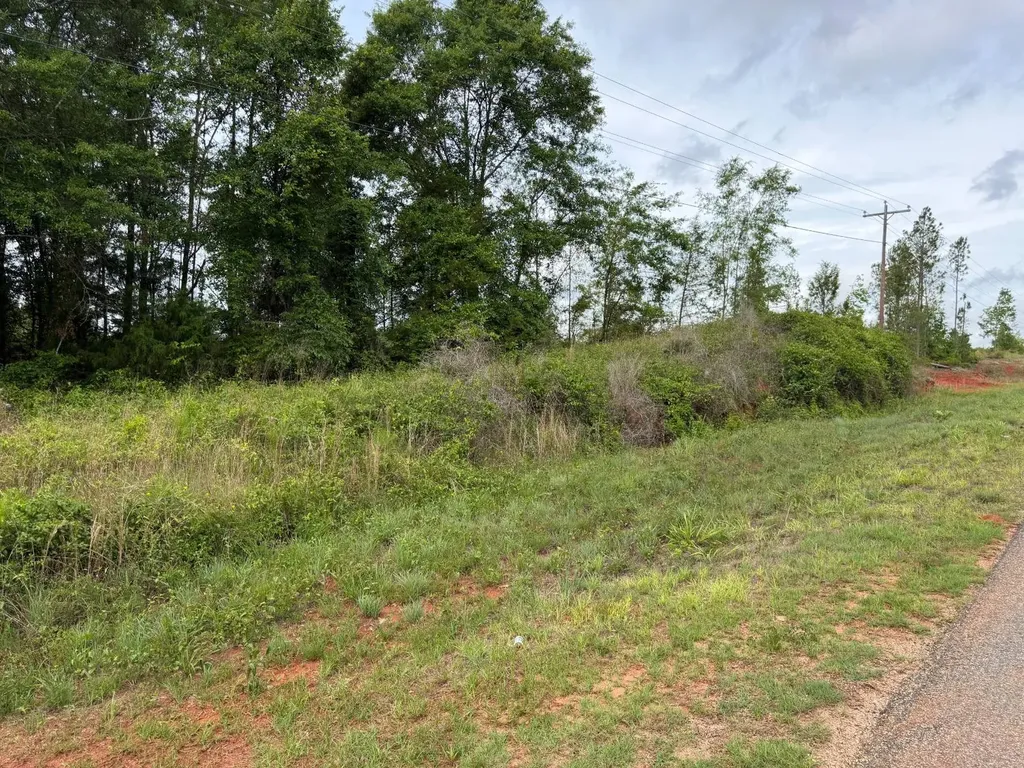 0 Live Live Oak Luverne AL 36049