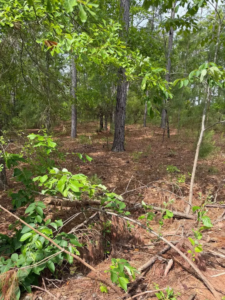 0 Live Live Oak Luverne AL 36049