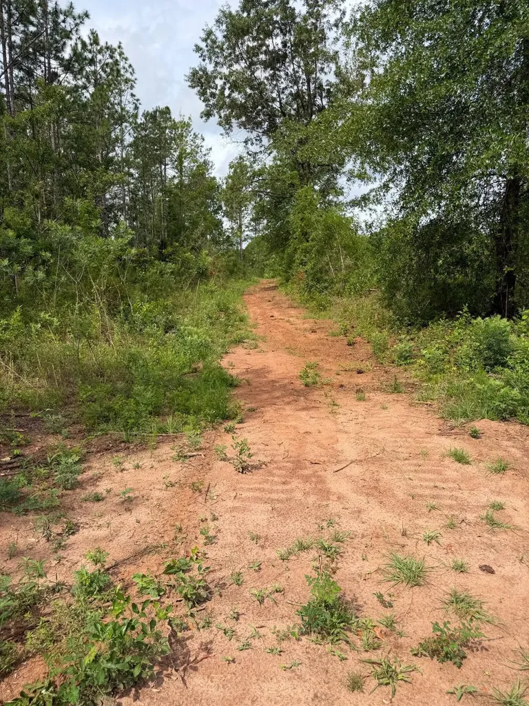 0 Live Live Oak Luverne AL 36049