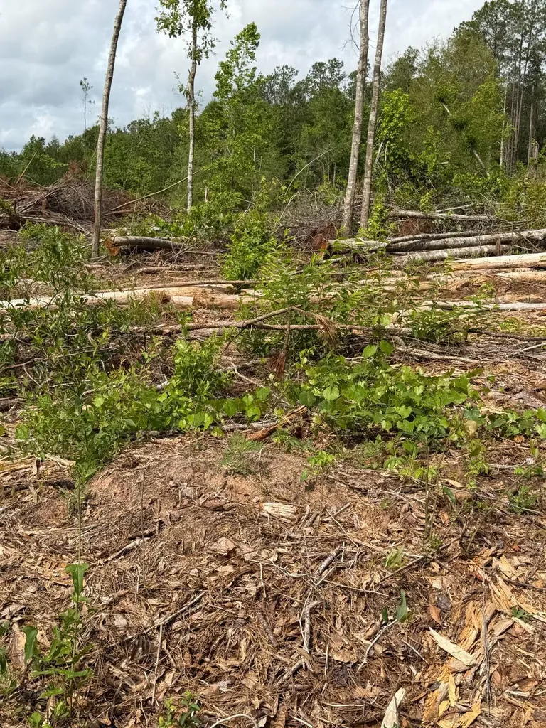 0 Live Live Oak Luverne AL 36049