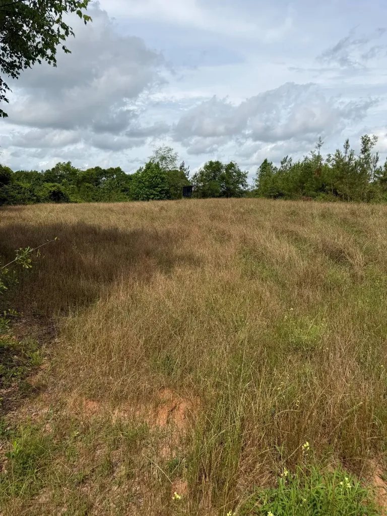 0 Live Live Oak Luverne AL 36049