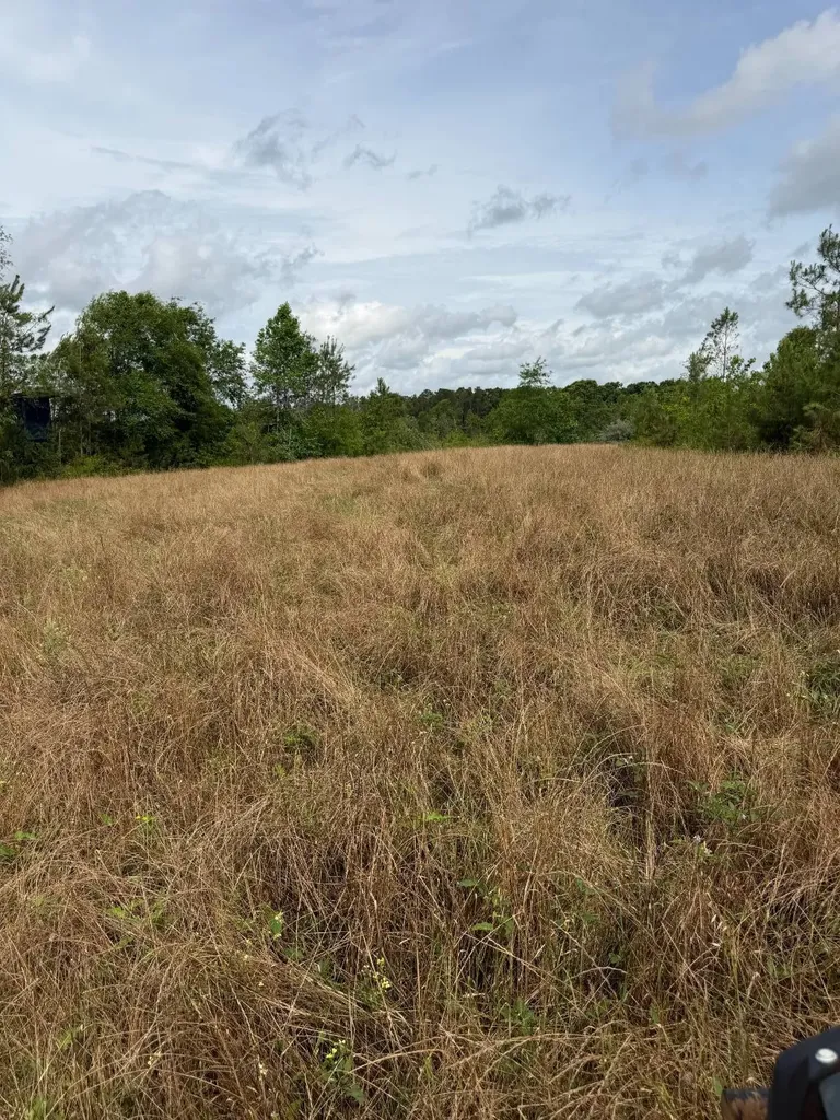 0 Live Live Oak Luverne AL 36049