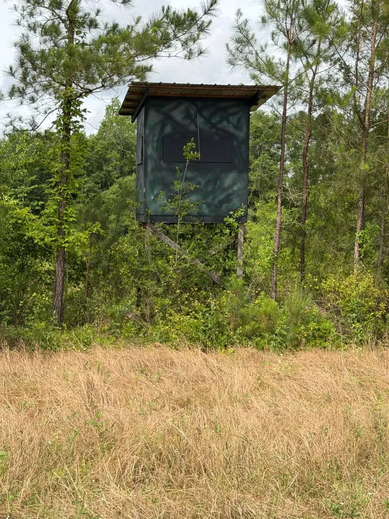 0 Live Live Oak Luverne AL 36049