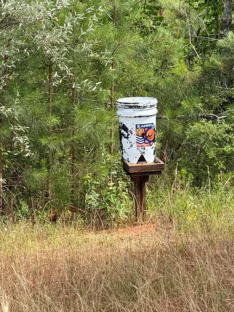 0 Live Live Oak Luverne AL 36049