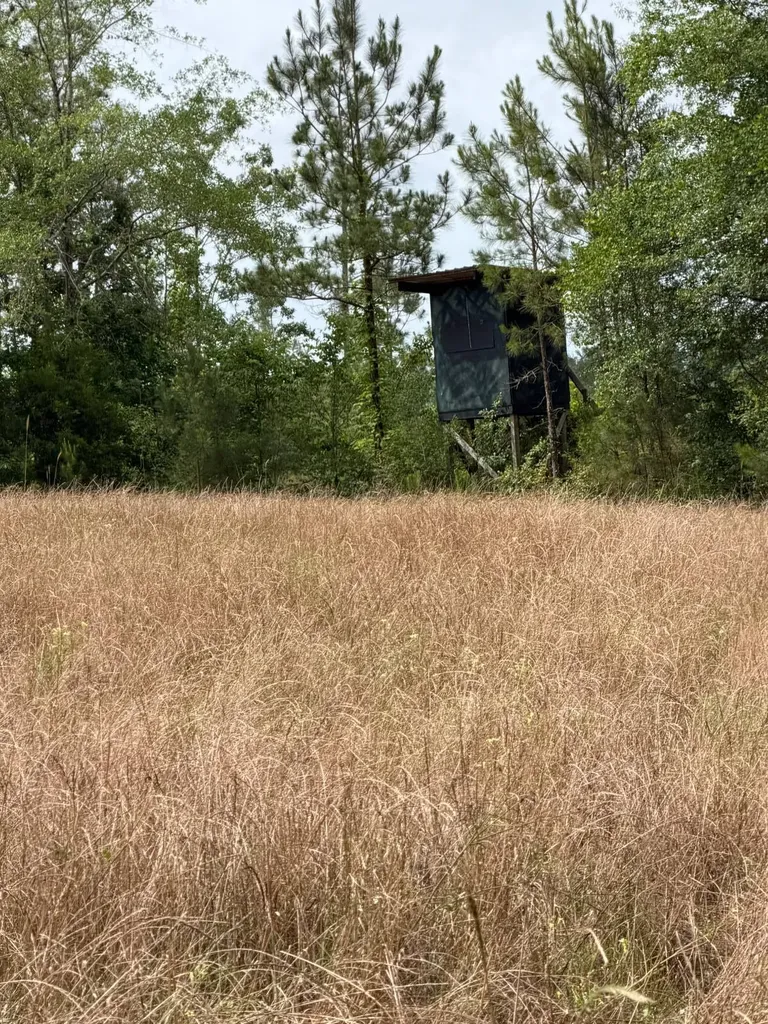 0 Live Live Oak Luverne AL 36049