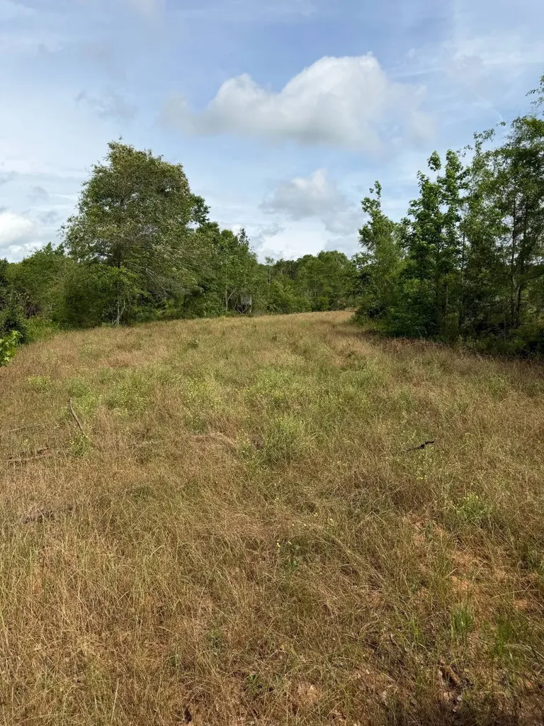 0 Live Live Oak Luverne AL 36049