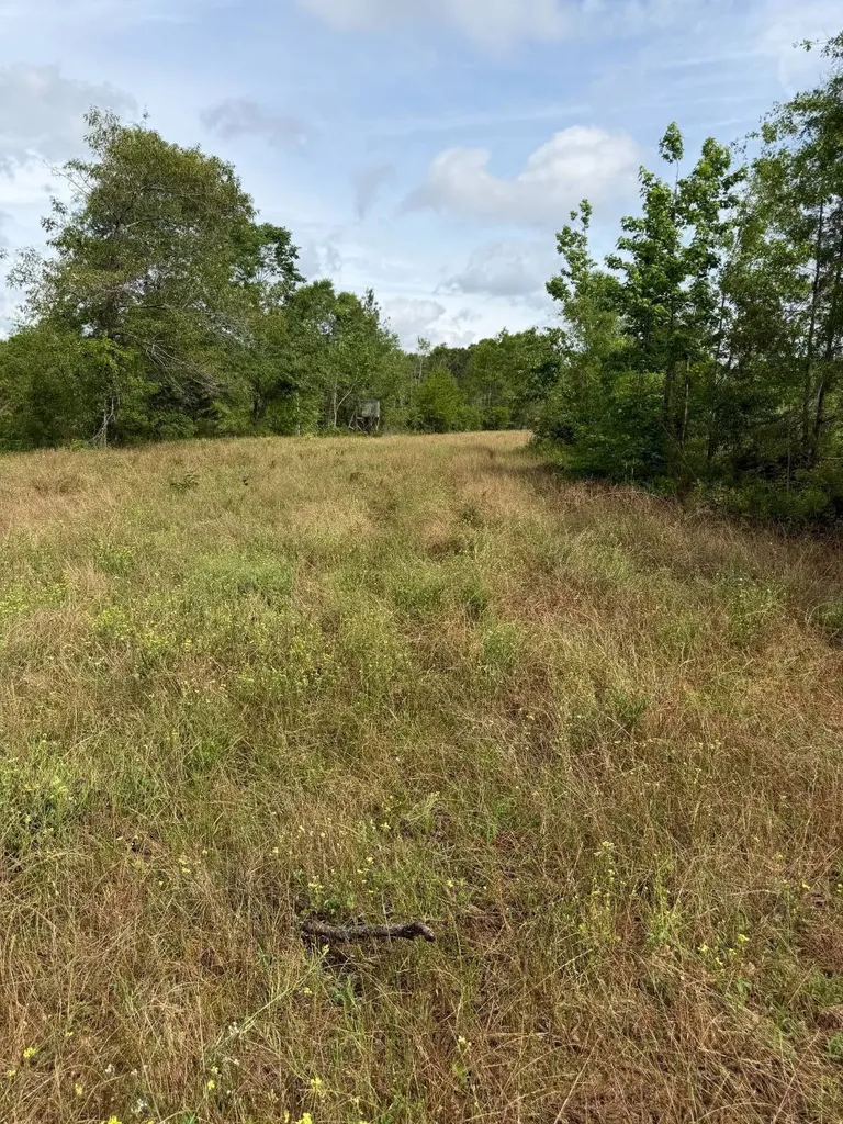 0 Live Live Oak Luverne AL 36049