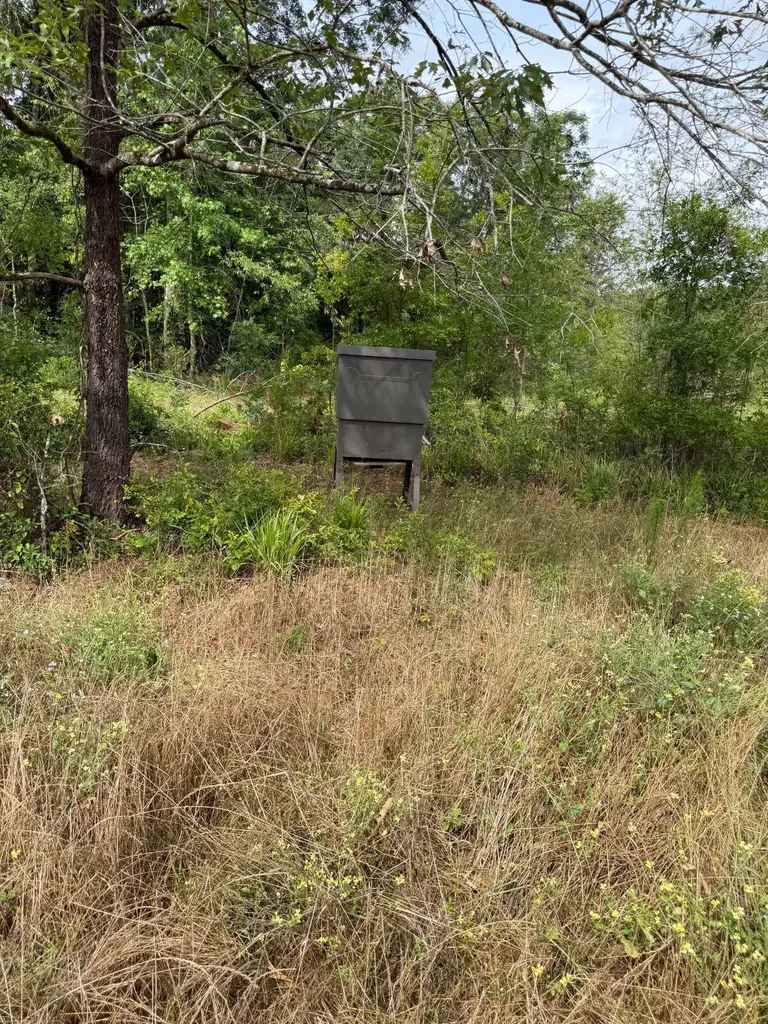 0 Live Live Oak Luverne AL 36049