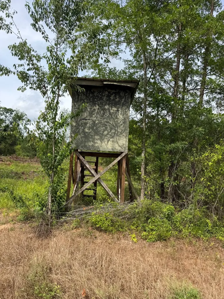 0 Live Live Oak Luverne AL 36049