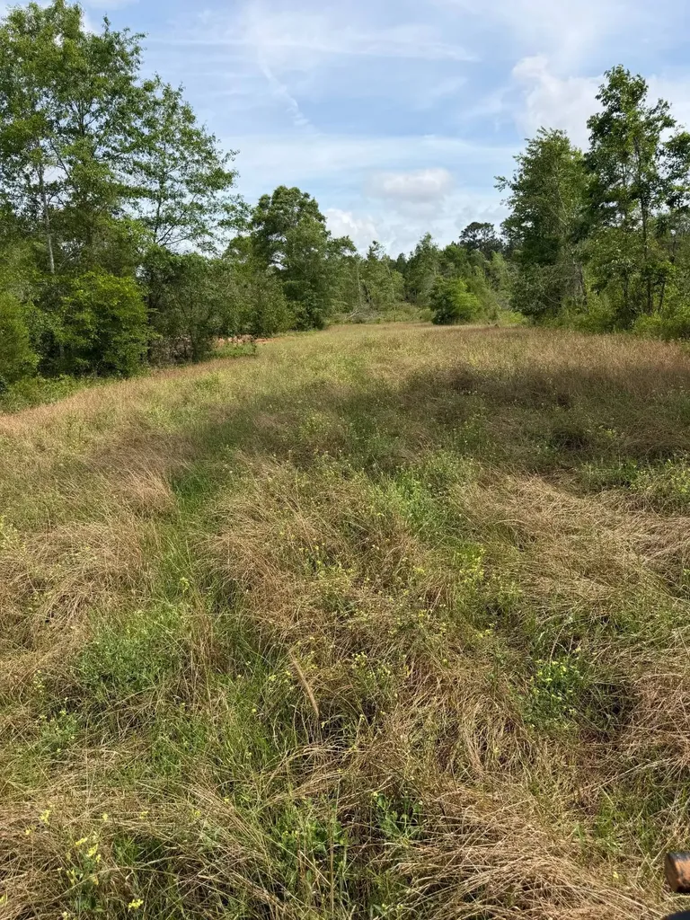 0 Live Live Oak Luverne AL 36049