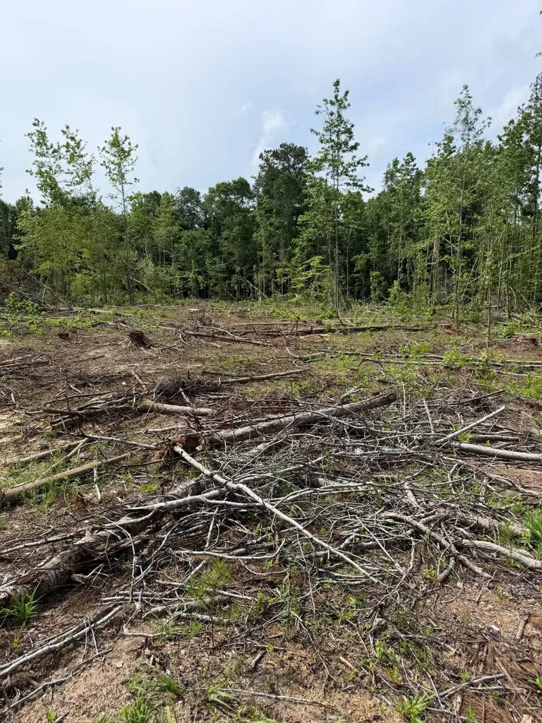 0 Live Live Oak Luverne AL 36049