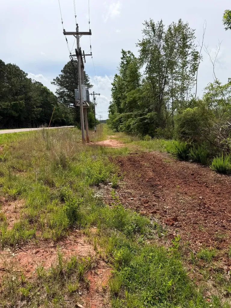 0 Live Live Oak Luverne AL 36049